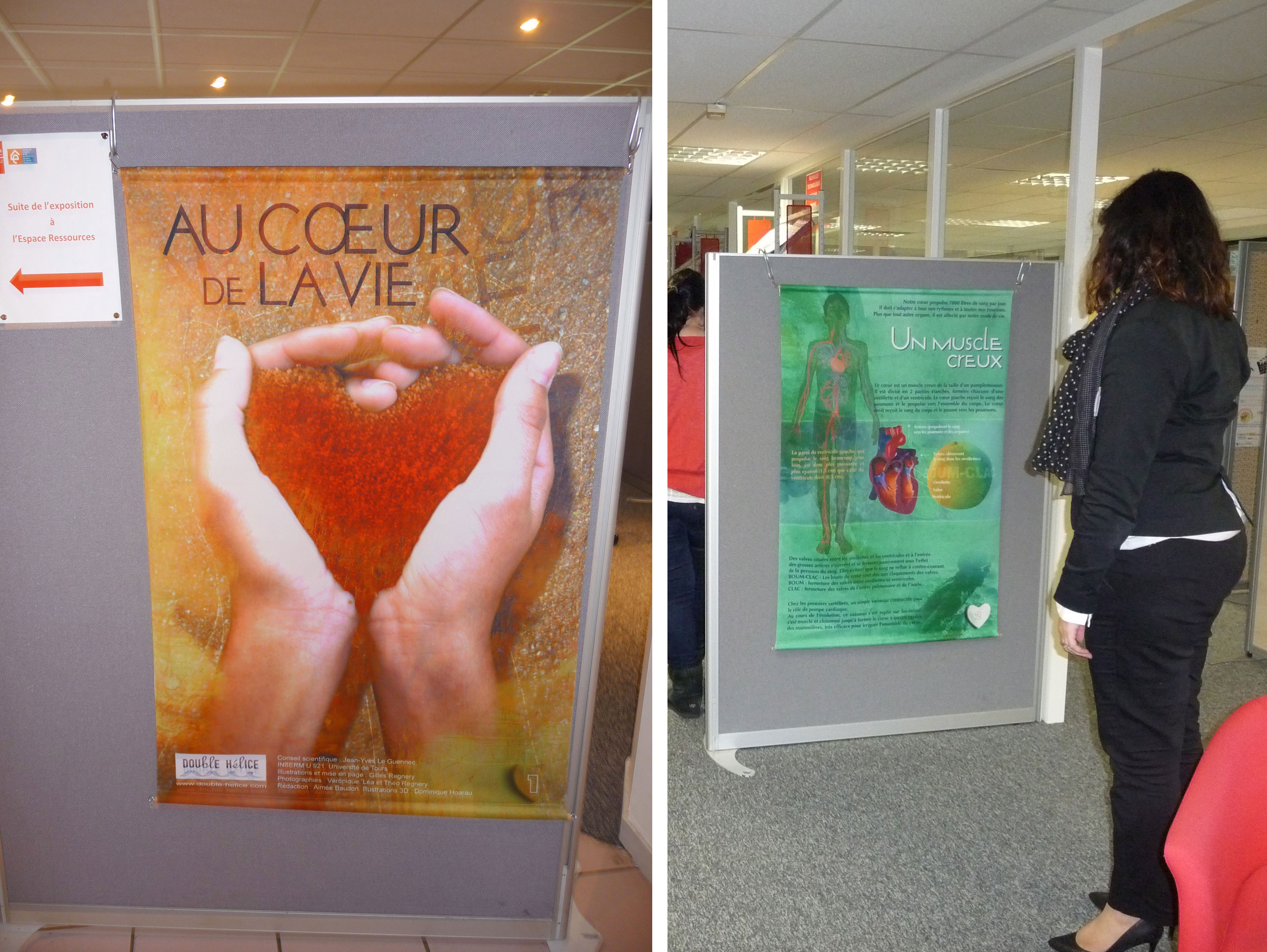 coeur.jpg
