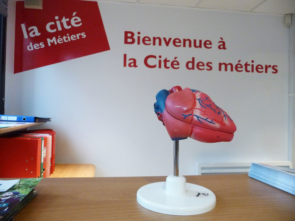 P1040746.jpg