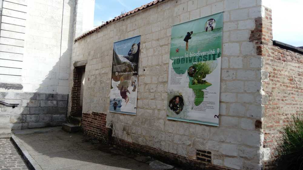 Biodiversité 1.jpg