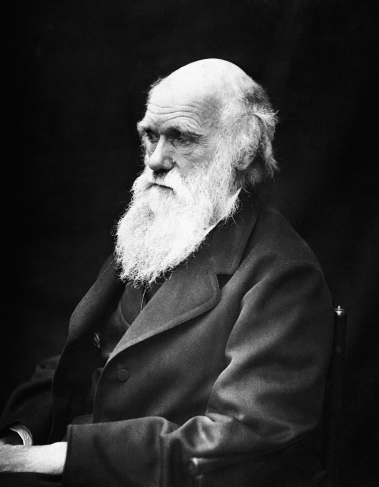 expo_darwin2.jpg