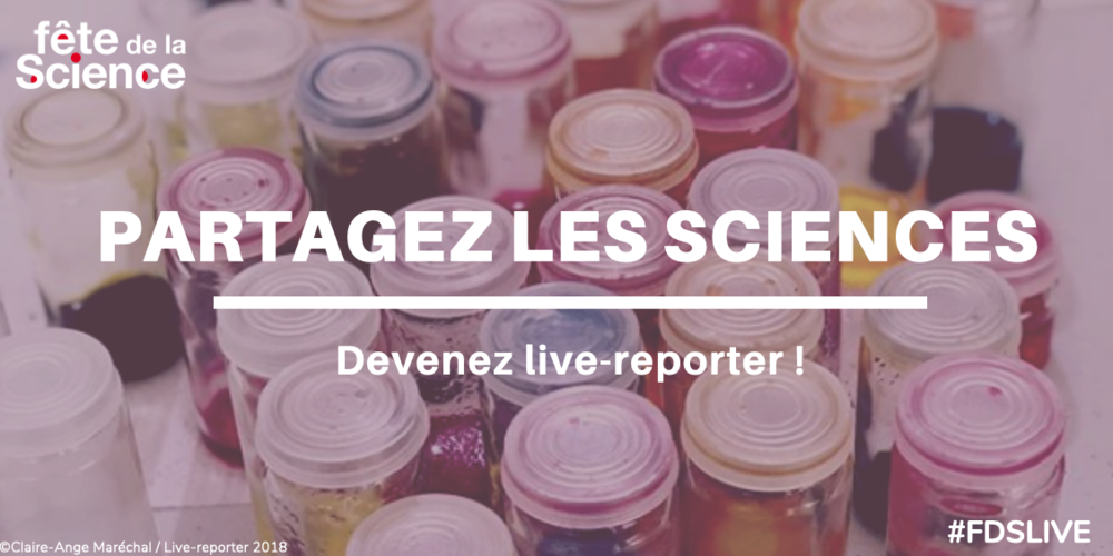 LiveReporter2.png