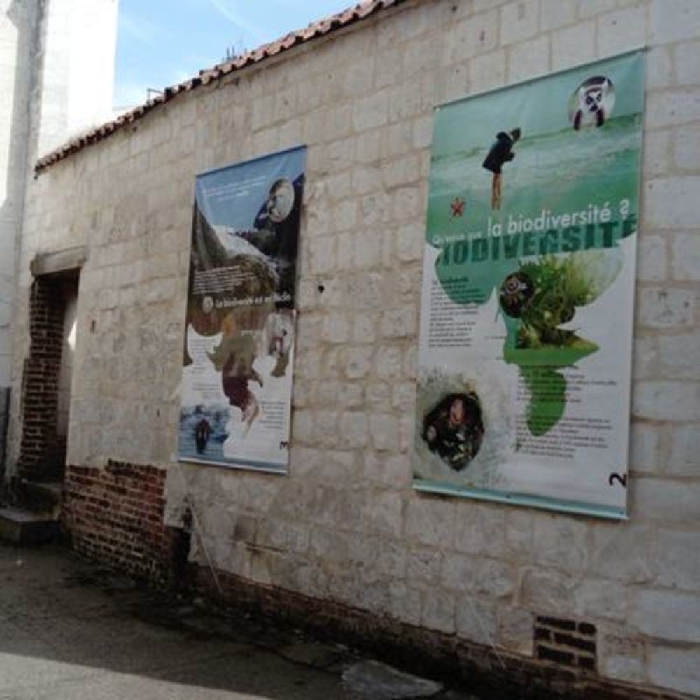 Biodiversité_1.jpg