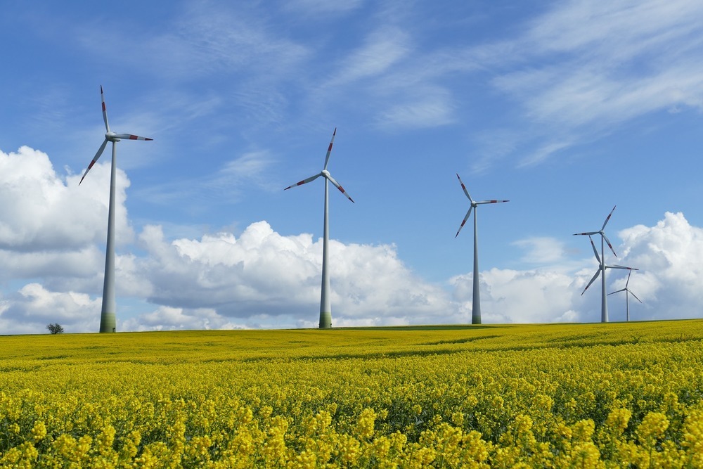 energie_renouv.jpg