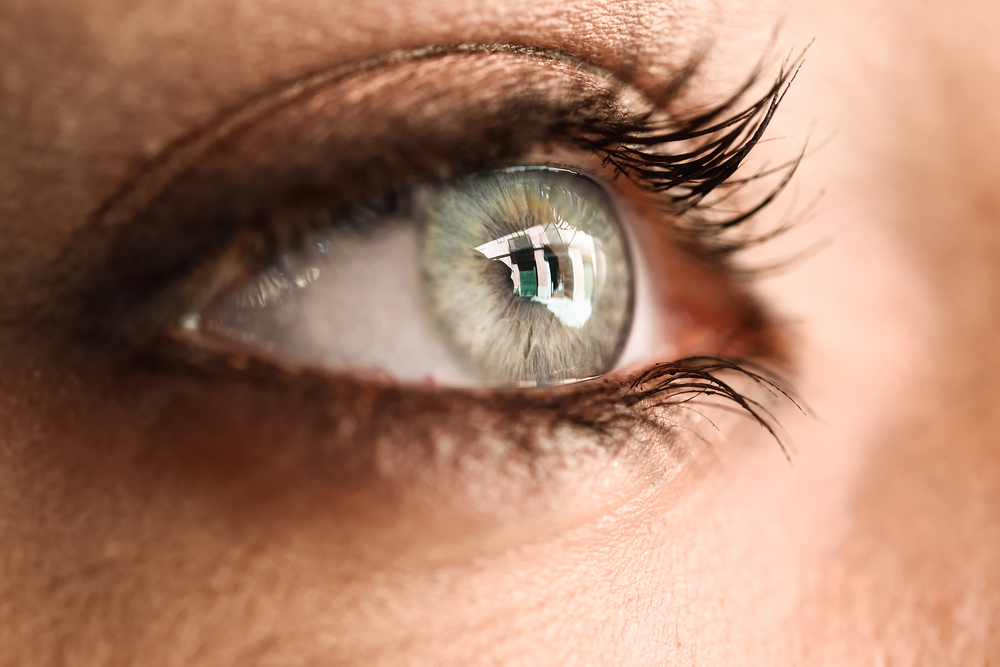 oeil.jpg