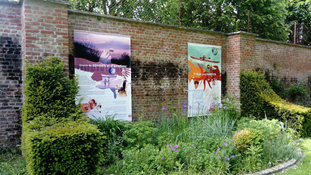 Biodiversité_4.jpg